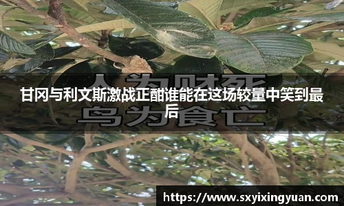 平博官网