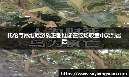 平博